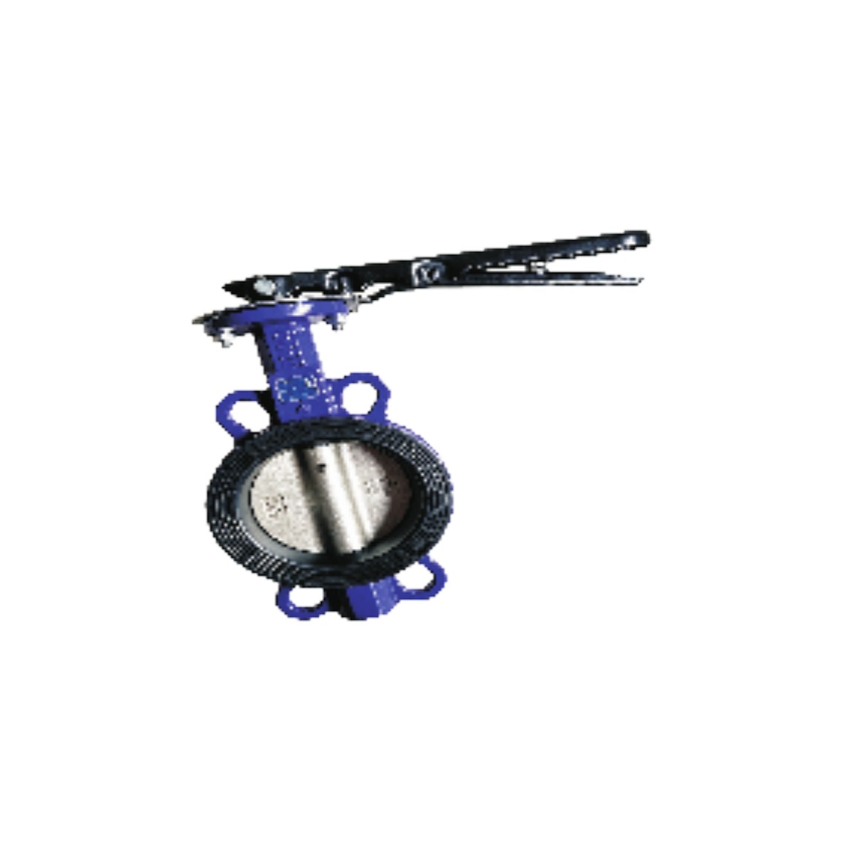 Purple Rubber-Lined Butterfly Valve