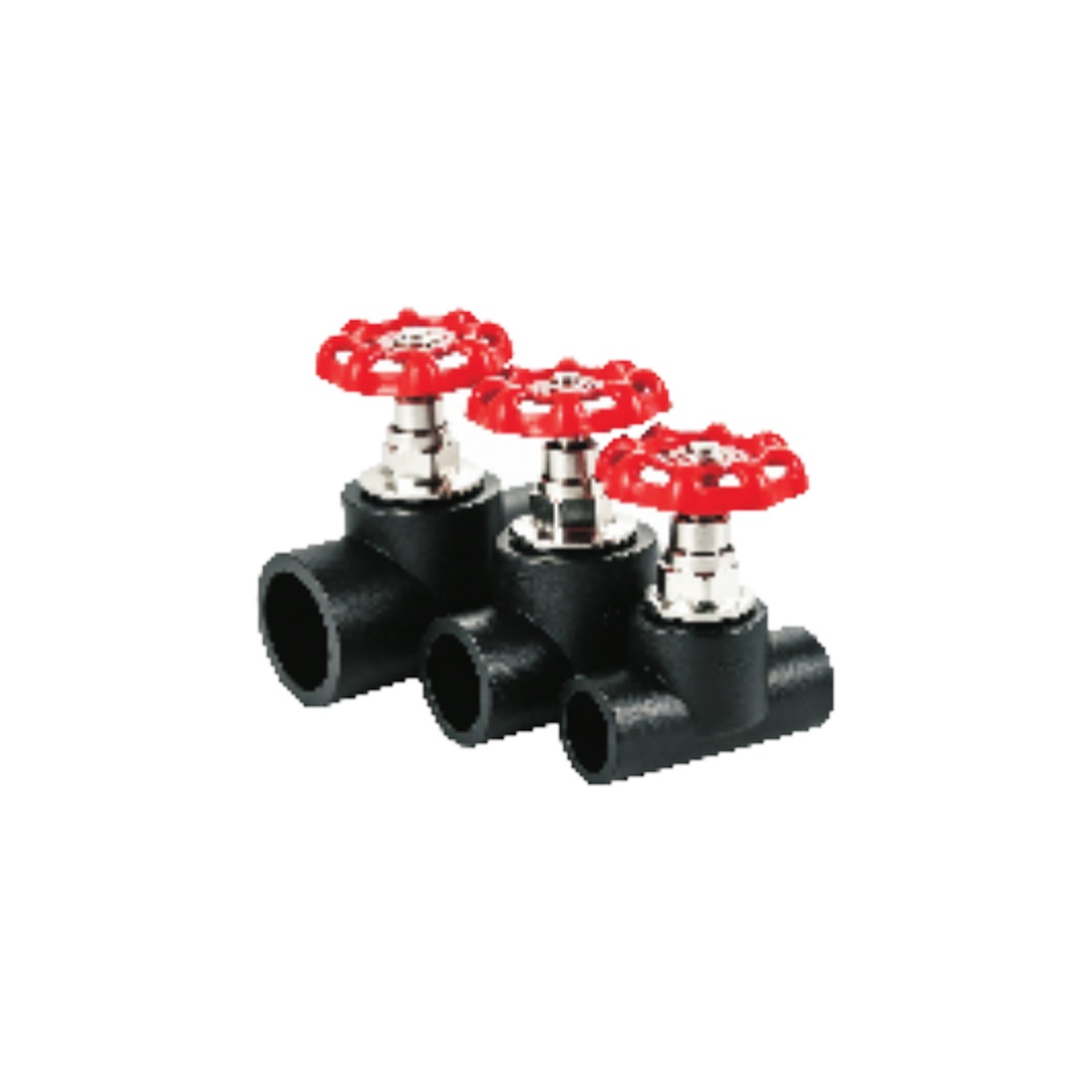 Socket Globe Valve